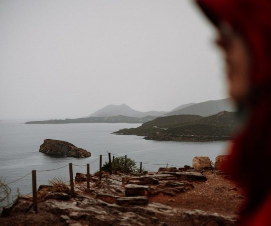 The cost of profitability without accountability